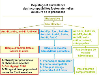 tableau de surveillance des femmes dans le suivi des IFM