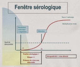 Graphique expliquant la fenêtre sérologique