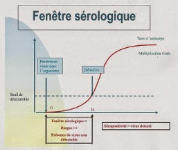 graphique représentant la fenêtre sérologique du risque de transmission des virus