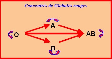 Régles de compatibilité des transfusions de CGR