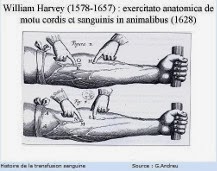 Recherche de William Harvey